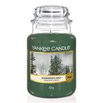 Yankee Candle Large Jar Scented Candle, Evergreen Mist, Alpine Christmas Collection, Up to 150 Hours Burn Time