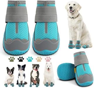 Dog Shoes 