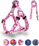 QQPETS Dog Harness Leash Set Adjust