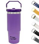 House of Quirk 900ML Stainless Steel Double Vacuum Insulated Tumbler with Lid and Straw for Hot and Cold Beverages - Violet