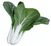 for 2024! 4000ct Bok Choy Seeds for