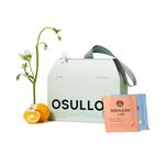 Osulloc TEA SCENT Gift Set (24 count, 6 flavors x 4 ea), Uniquely Packaged Tea Sampler - Self Care Gift Box, Pure & Blended Tea from Jeju Island