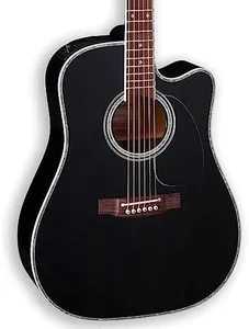 Takamine E