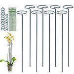 JIALWEN 8 Pack 40cm Plant Support Stakes, Garden Single Stem Metal Plant Support Stake with 10 Plant Ties and 10 Plant Clips for Flowers Tomatoes Lily Peony Rose Flower Stem