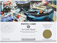 SENNELIER La Carte Pastel Card Pochette, 15.75" x 11", Monochromatic Light Gray