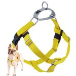 2 Hounds Design Freedom No Pull Dog Harness | Adjustable Gentle Comfortable Control for Easy Dog Walking | for Small Medium and Large Dogs | Made in USA | Leash Not Included | 1" LG Yellow