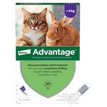 Bayer Cat Flea Treatments