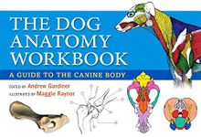 The Dog Anatomy Workbook: A Guide to the Canine Body