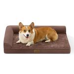 COSY KISS Orthopedic Dog Beds for Medium Szie Dog, Pet Couch for Small Dog Cat (Grey, XL (44 * 32 * 7inch)) (Brown, L(91X69X17cm))