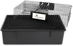 Rugged Ranch Rat Trap, Live Mouse C