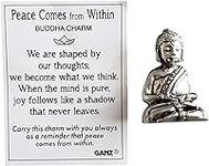 Ganz Peace Comes from Within Buddha