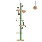 PAWZ Road Floor to Ceiling Cactus Cat Tree for Indoor Cats, Tall Cat Tower [229CM-275CM] Adjustable, Cat Climbing Tree with Cat Scratching Post, Hammock, Dangling Ball Toy,Green