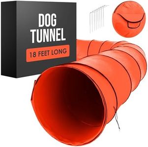 Dog Tunnel