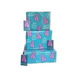 Funny Birthday Gift Wrapping Paper for Men Rude Theme 4 Sheets +4 Gift Tags. Also Perfect for Anniversary & Valentine's Day