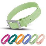 Wisedog Waterproof Dog Collar: Multiple Adjust 8.5” to 32.6”, Soft Rubber Coated Webbing, Easy to Clean, for Small Medium Large Dogs (S(Length:8.5"-12.5"; Width:0.8"), Sage Green)