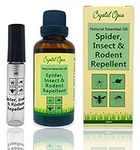 Makes 30+ litres of Mouse, Spider, Insect & Rat Repellent Spray. Tried & Trusted Concentrated Blend of Peppermint, Lavender & Citronella Oil. Ultra-Effective & Safe Deterrent. Home, Garden & Holiday.