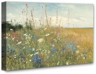 Field of Wildflowers Landscape Pain