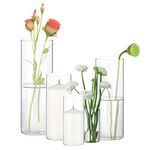 Fgail Glass Cylinder Vases Set of 5, Clear Flower Vases for Centerpieces, 4,6,8,10,12 Inch Tall Vase for Home Decor, Table Decorative & Hurricane Vases Glass Candle Holders