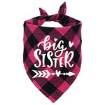 STMK Big Sister Plaid Dog Bandana, Pregnancy Announcement Plaid Dog Bandana, Gender Reveal Photo Prop, Pet Scarf Accessories, Pet Scarves for Dogs (Pink)