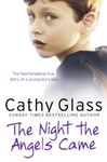 The Night the Angels Came: A heartwarming Sunday Times bestselling fostering memoir: The Heartbreaking True Story of a Young Boy's Loss