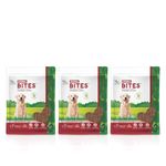 Natural Remedies Derma Bites, Skin Healthy Treats, Easily Digestible Soft Chews Long Sticks for Dogs, Pups of All Breeds, for Skin and Coat, Gluten Free, Strawberry Flavour (Pack of 3-75 gm Each)