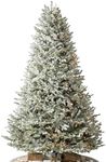 Balsam Hill Frosted BH Balsam Fir - Snow-Kissed Artificial Christmas Tree with True Needle Foliage and LED Clear Lights, 9'