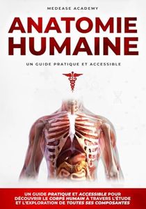 Anatomie H