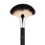 PROARTE LARGE FAN BRUSH PF-10