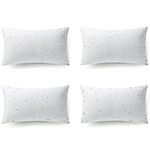 Phantoscope 12 x 20 Outdoor Pillow 