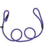 Dog Slip Rope Leash, Sweeethome Rope Lead for Pet, Adjustable Pet Leash Strong Dogs Training Leash Climbing Dog Rope Leash, 5 FT Nylon Leash for Dog Training Leash Small and Medium GOG Leash (Blue)