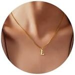 Nayno Initial Necklace 14K Gold letter necklaces for Women Plated Stainless Steel Tiny A-Z Letter Necklace Personalized Monogram Name Necklace for Women