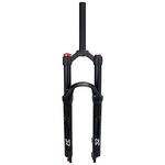 Mountain Bike Forks