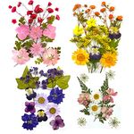 4 Packs About 60 Pcs,Pressed Dried Flowers,Real Dried Pressed Flowers,Pressed Flowers for Resin,Mixed Multiple Natural Flowers Leaves,for Crafts Making Floral Decors Scrapbooking DIY (4)