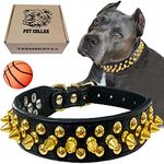 TEEMERRYCA Black Leather Dog Collar with Gold Spikes for Small Medium Large Pets,Pit Bulls/Bulldog, Keep Dog Safe from Grabbing by Huge Dogs,XL(17.7"-20.5")