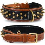Leatherific Spike Dog Collar | Spiky Series | Premium Genuine Bridle Leather, Heavy Duty, Padded, Strong | Black Brown | 2" Wide | for Medium Dogs - Neck Size 14"-18"