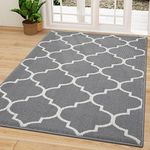 OLANLY Indoor Door Mat, 59" x 36", Non-Slip Absorbent Resist Dirt Entrance Mat, Washable Low-Profile Inside Floor Mat, Durable Front Back Door Mat Welcome Mat for Entry, Grey