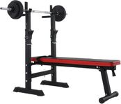 Zanbeel Adjustable Weight Bench with Dip Station Folding Heavy Duty Weight Lifting Bench Home Training Gym Multiuse Workout Bench