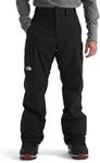 The North Face Men's Freedom Pant |