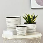 Garden Art Ceramic Pots Set of 3 in Different Sizes | 21.3, 17.3, 14cm Dia | Planter with Hole and Saucer | Give a Vibrant Look to Your Home | for All Kind of House Pants GA84115-W (Ivory)