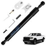 ARANA Truck Tailgate Assist Shock Strut Kit Fit for Dodge Ram 1500 2009-2018, for 2019-2022 Dodge Ram 1500 PICKUP CLASSIC (Not fit for New Version), for Dodge Ram 2500/3500 2010-2019