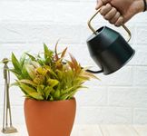 Gold Dust Plant Watering Can, Watering Can for Plants, Garden Watering Can, Water Can for Plants, Watering Cans, Watering Equipment for Garden (Black (0.9 Lt))