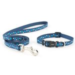 Puppy Collars And Leads