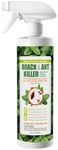 EcoVenger Roach & Ant Killer 16OZ,