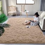 DweIke Fluffy Shaggy Area Rug, 6x9 