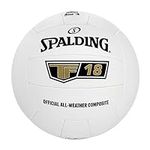 Spalding TF-18 Official Beach Volle
