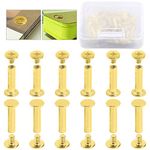 Hilitchi 50-Sets M5 Brass Plated Phillips Chicago Screw Posts Binding Screws Assortment Kit for Scrapbook Photo Albums Binding, Leather Repair - Gold (M5 x 20mm-50Sets)