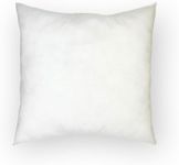 AZARYA Pillow Insert/Decorative Pillow Inserts/Hypoallergenic Inserts/Pack of 1 (18x18), White