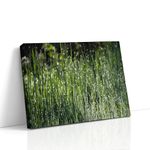 Green Abstract Art of Dew Kissed Grass Nature Wall Art Decor (Canvas Print, 30x40 inches)