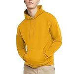 Hanes mens Pullover Ecosmart Hooded