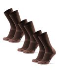 DANISH ENDURANCE Hiking Socks, Merino Wool Socks, Anti Blister, Cushioned, Breathable, Men & Women, 3-Pack, Oak Brown, Large